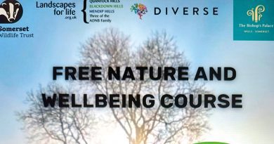 Free Nature and Wellbeing course