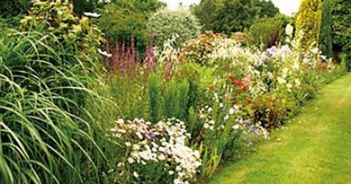 Wells and District Gardening Club