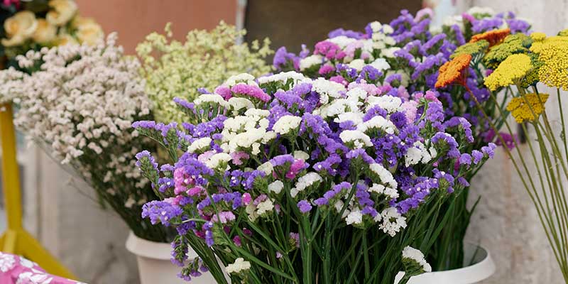 Burnham Area Flower Club